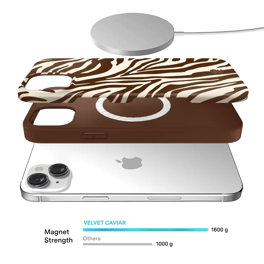 Coco Zebra iPhone Case