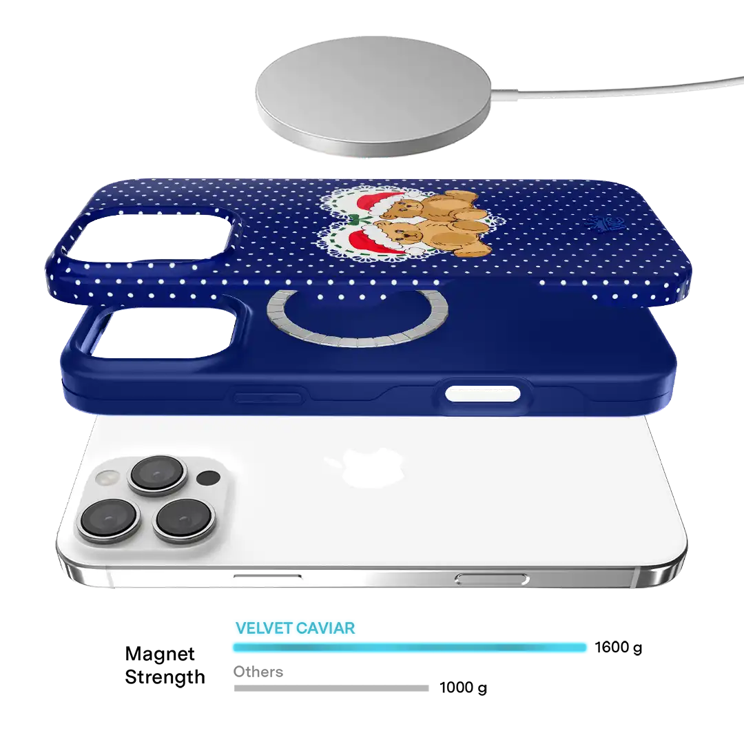 Winter Teddy iPhone Case