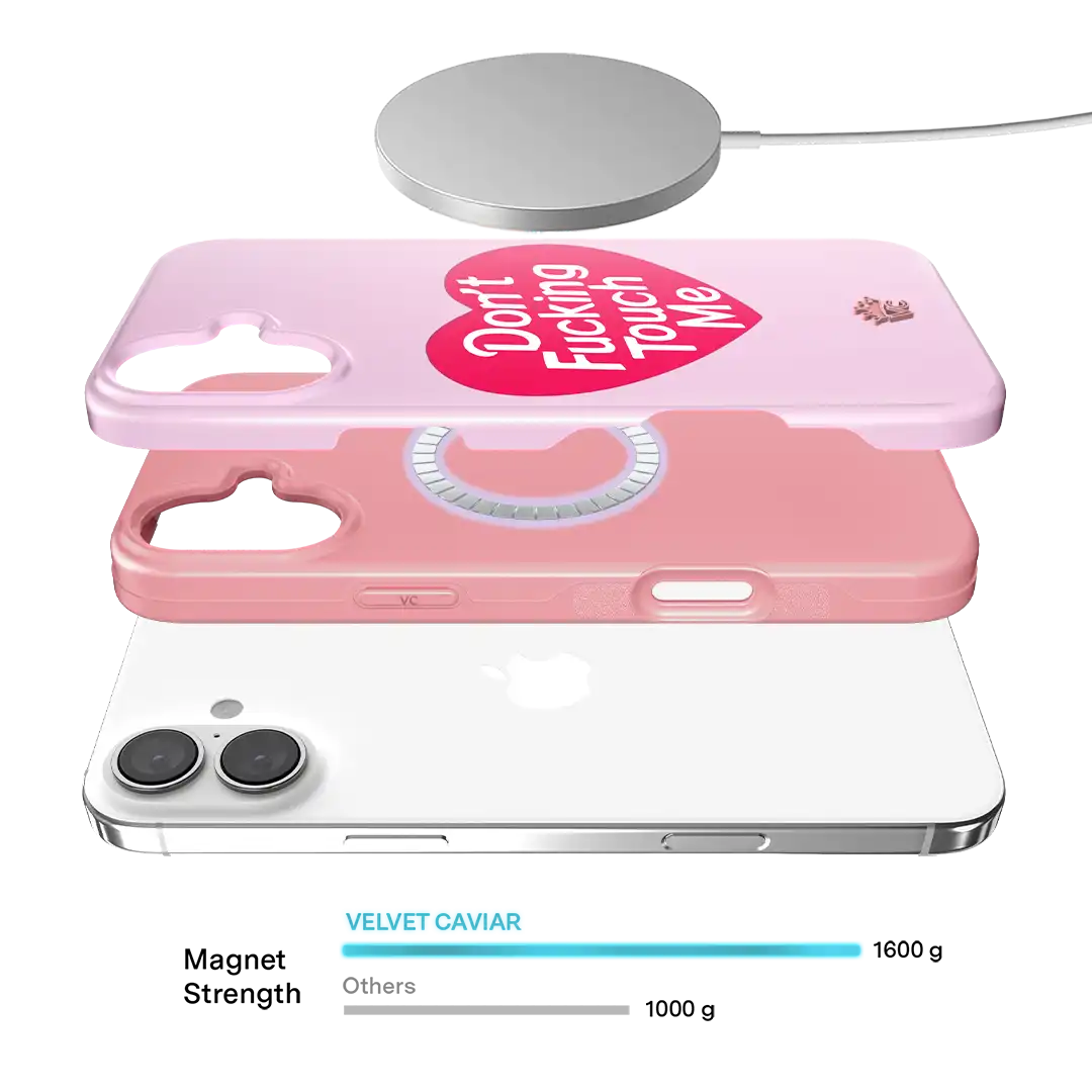 Don't F Touch Me iPhone Case