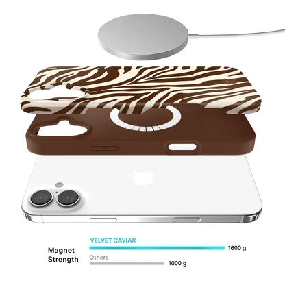 Coco Zebra iPhone Case