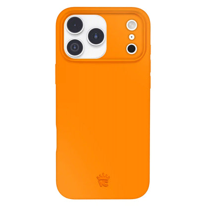Pumpkin Spice Orange iPhone Case